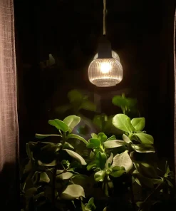 Aneta Lighting Vinduspendel ELIN