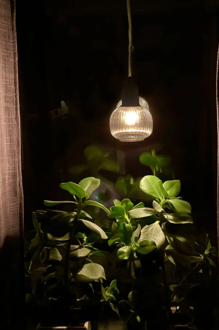 Aneta Lighting Vinduspendel ELIN