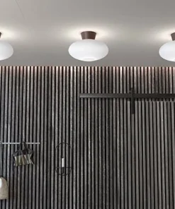 Belid Plafond Bullo, diameter 27