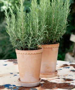 Bergs Potter Høy potte med fat Helena RAW, diameter 14 cm