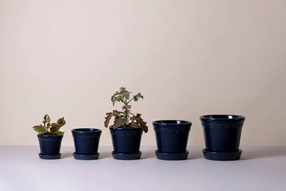 Bergs Potter Københavner Glazed, Ø 12 cm, Sett