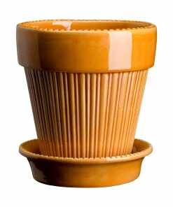 Bergs Potter Potte med fat Simona GLAZED, diameter 16 cm