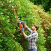 Black & Decker Hekkesaks 60 cm 600W med sagblad