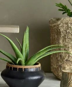 Bloomingville Aloe Plante