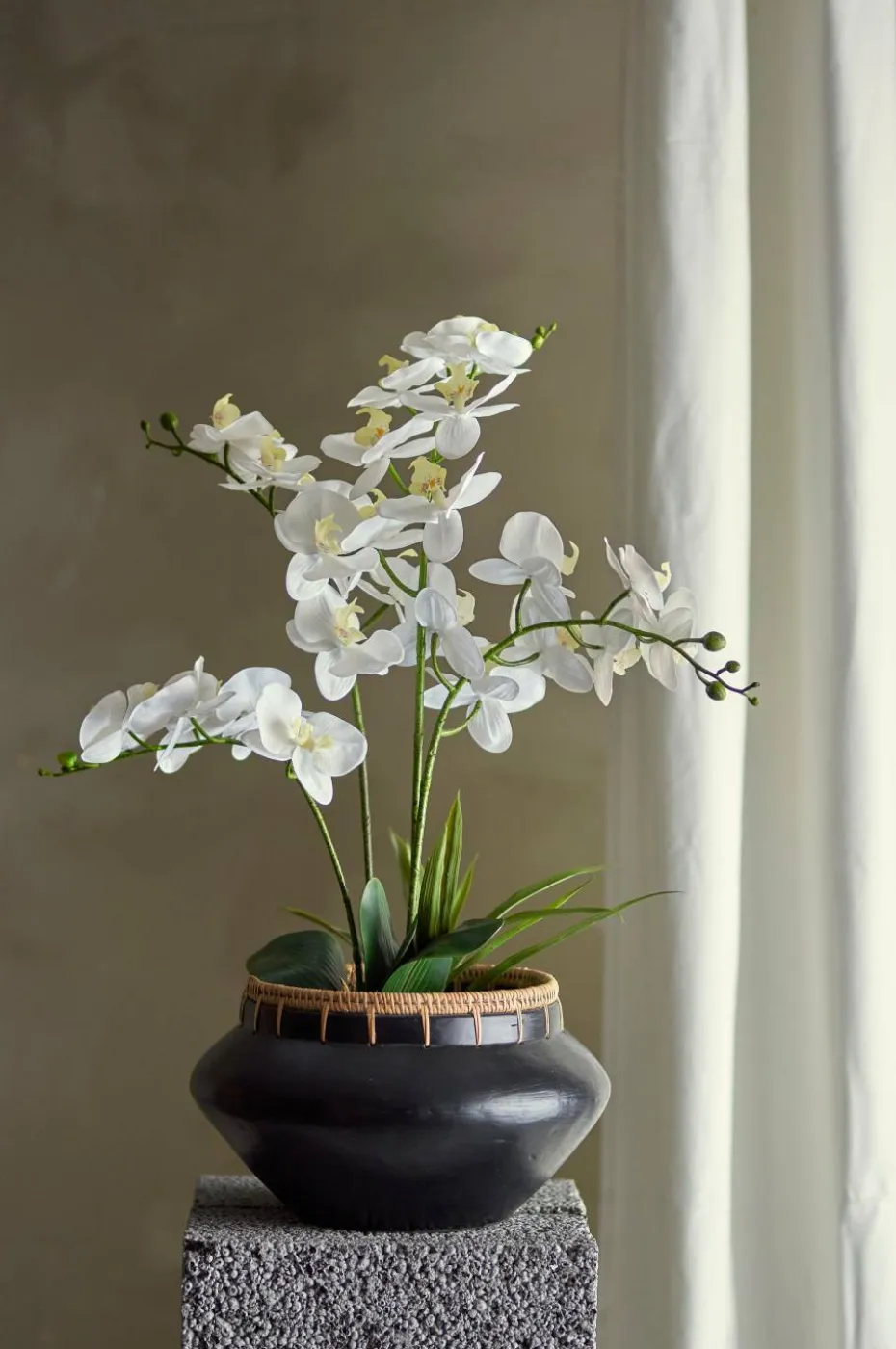 Bloomingville Orchid Plante