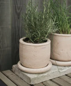 DBKD Gryte Terra 14