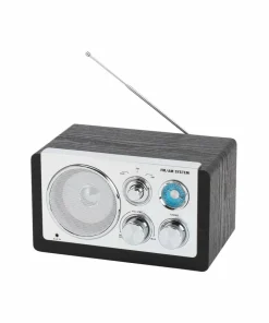 Denver Analog radio AM/FM