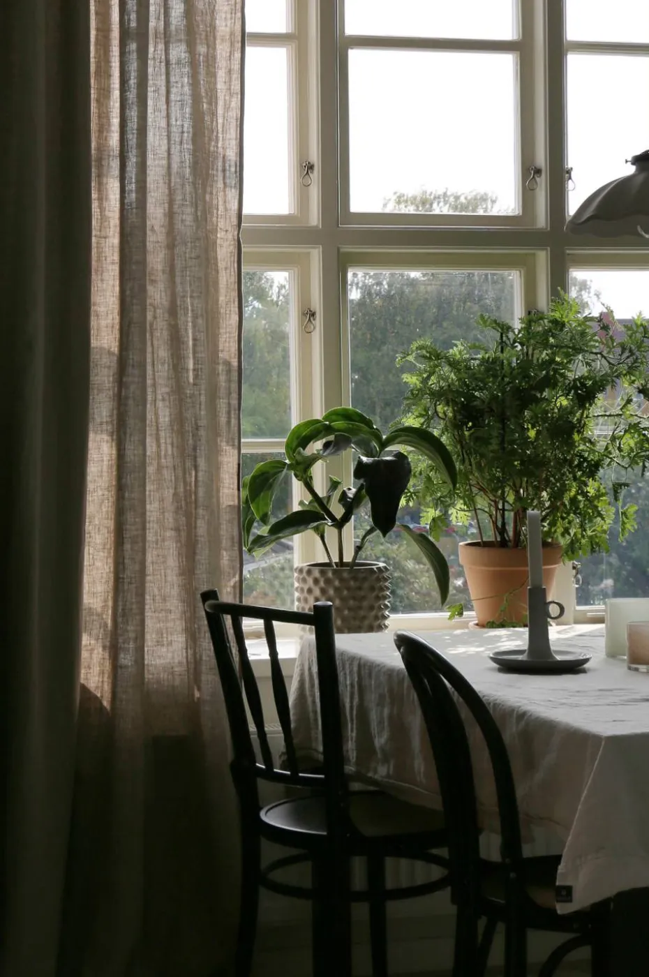 Himla Gardin Sunshine