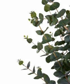 House Nordic Eukalyptus tre