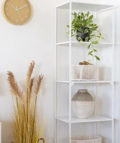 House Nordic Hoya Carnosa