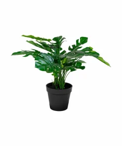 House Nordic Kunstig plante Monstera. Plante av PE-plast. Ø 40 cm.