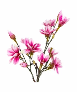 House Nordic Magnoliatre