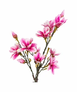 House Nordic Magnoliatre
