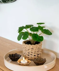 House Nordic Pelia