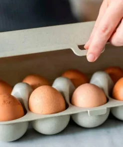 Koziol Eggekartong til 10 egg Eggs To Go