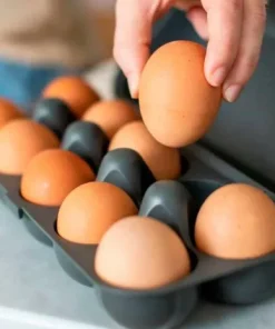 Koziol Eggekartong til 10 egg Eggs To Go