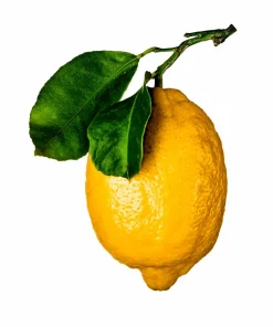 New Mags Coffee Table Book - The Gourmand'S Lemon . A Collection Of Stories And Recipes