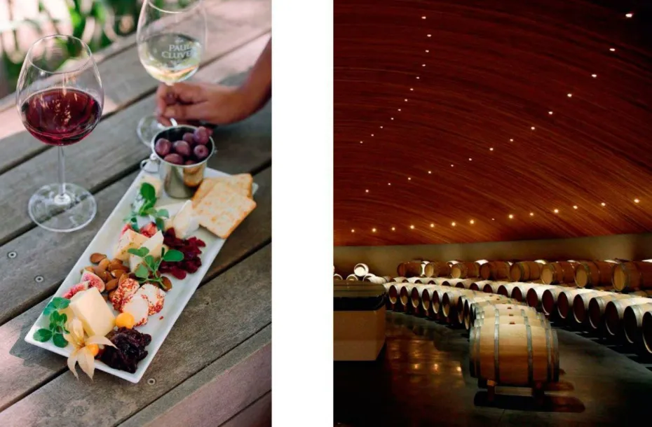 New Mags Coffee Table Book - 150 Vineyards