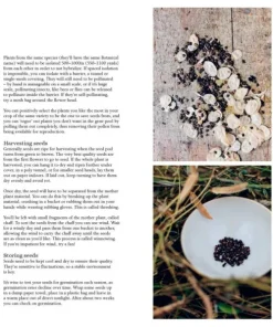 New Mags Coffee Table Book - From Seed To Bloom