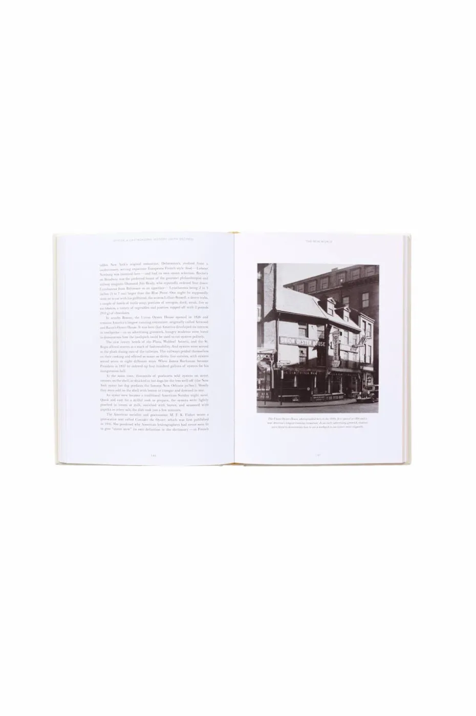 New Mags Coffee Table Book - Oyster: A Gastronomic History