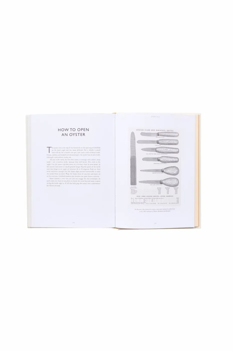New Mags Coffee Table Book - Oyster: A Gastronomic History