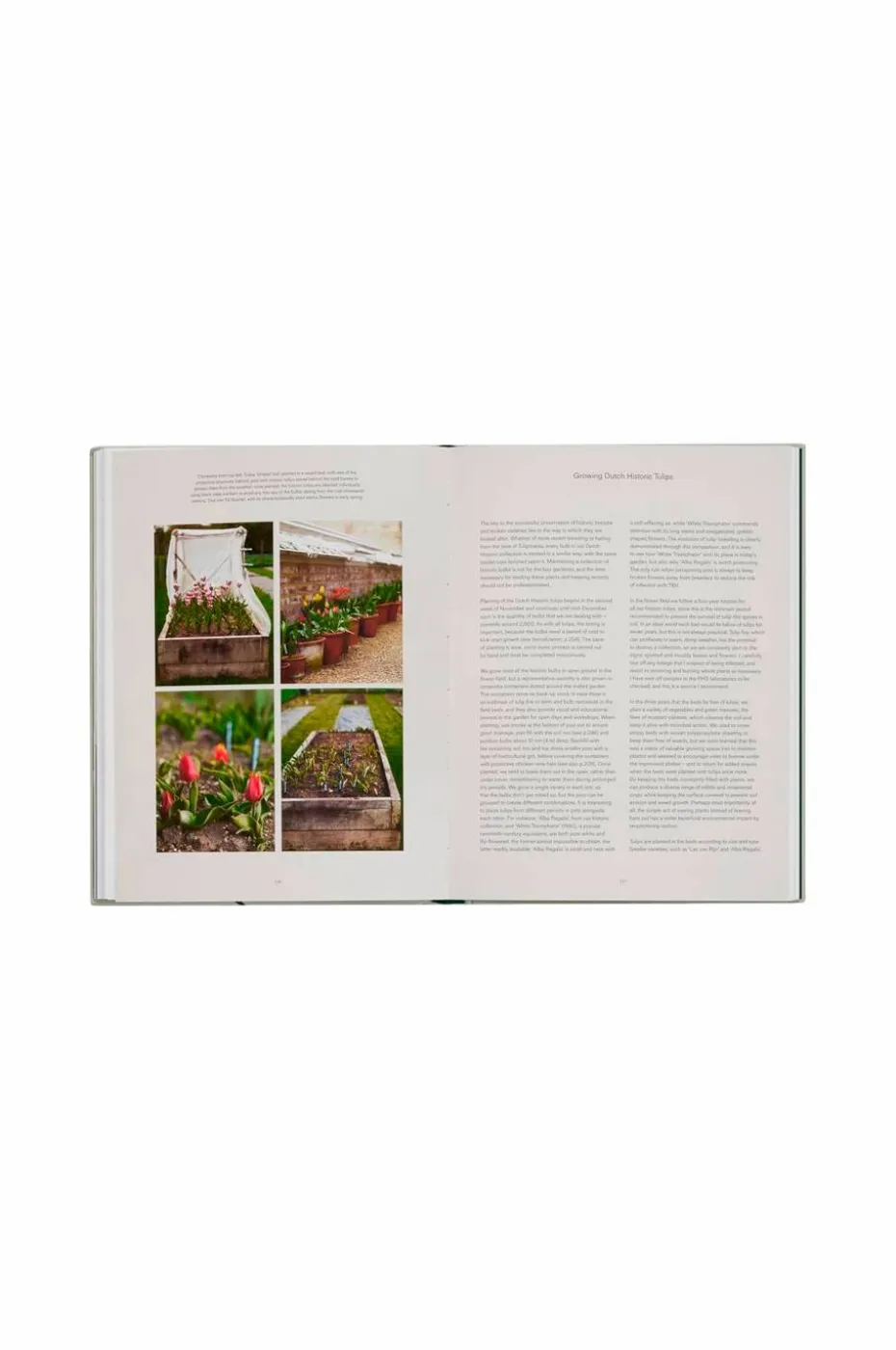 New Mags Coffee Table Book - The Tulip Garden