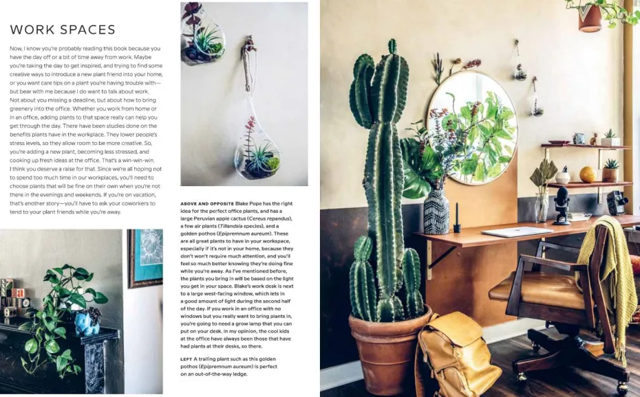 New Mags Coffee Table Book - Wild Interiors