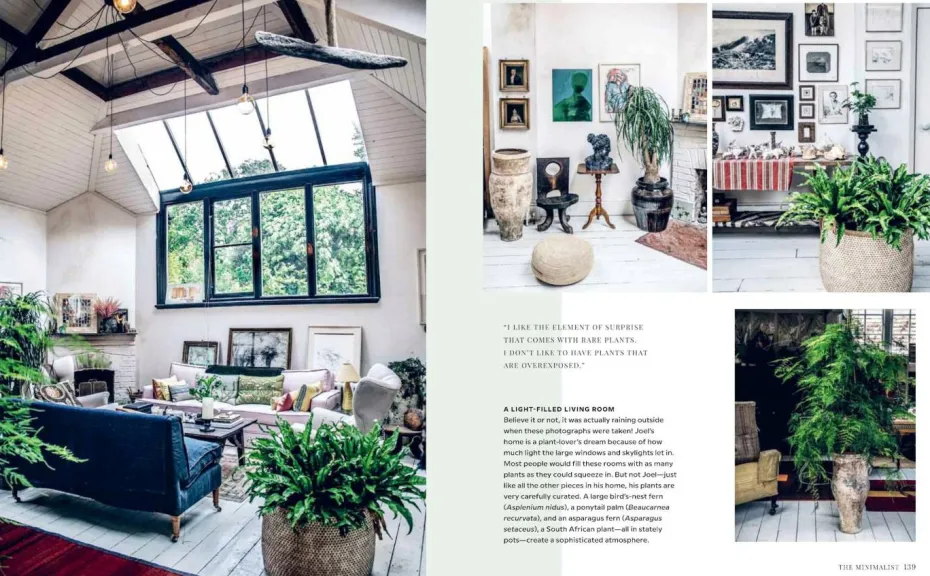 New Mags Coffee Table Book - Wild Interiors