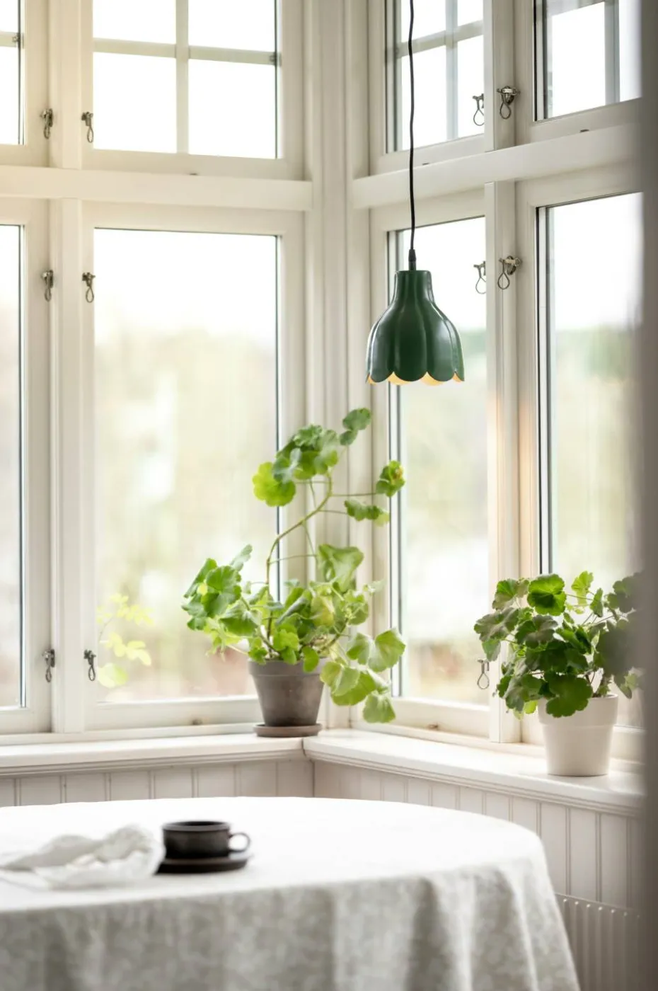 PR Home Tak/vindu Tulippa 17 cm
