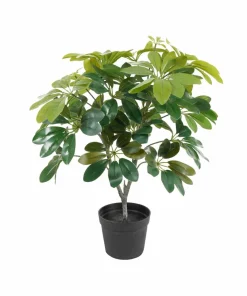 Present Time Kunstig plante Shefflera grønn