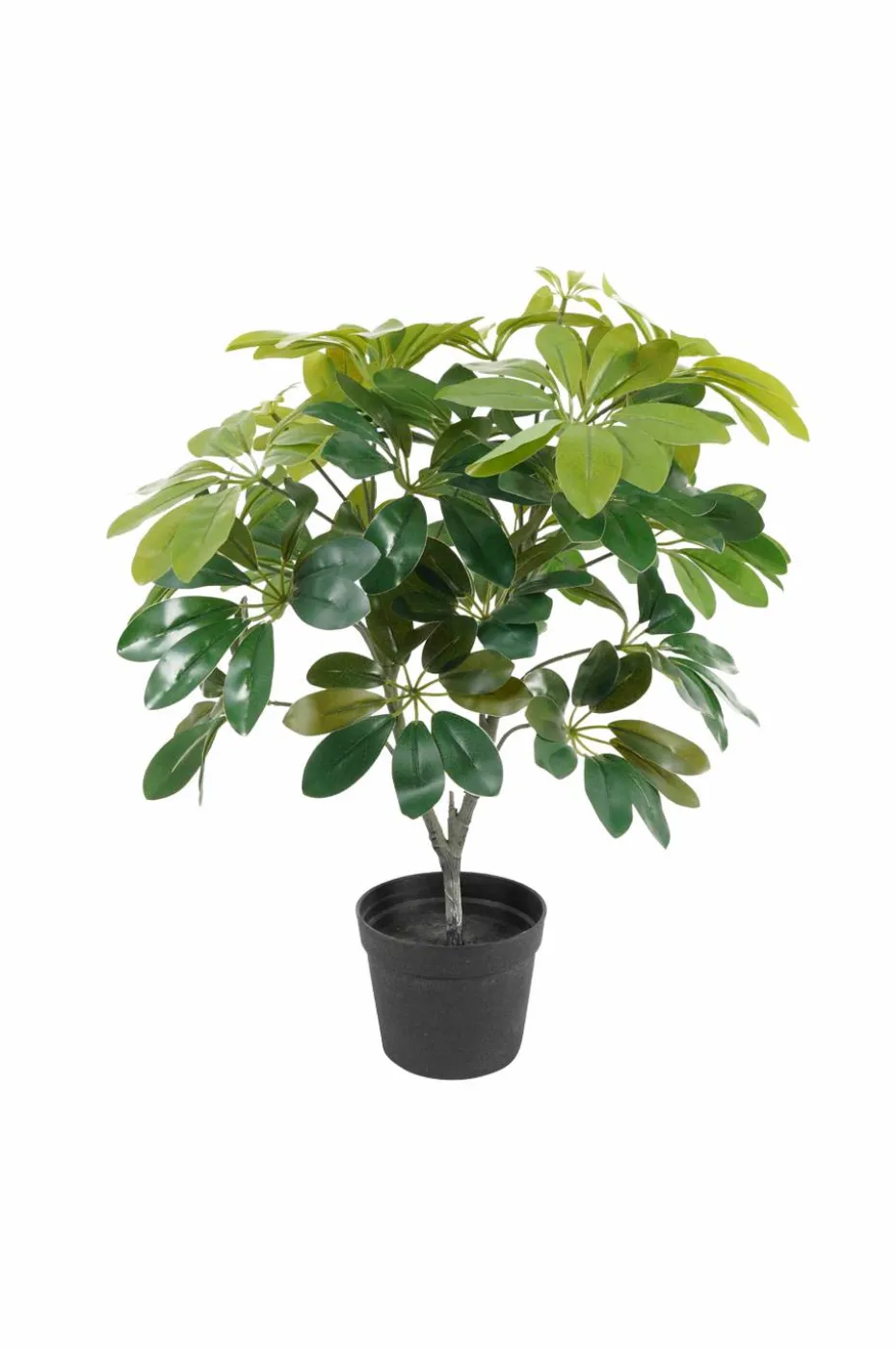 Present Time Kunstig plante Shefflera grønn
