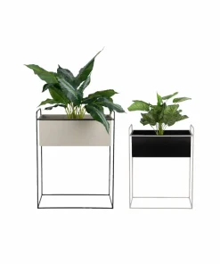 Present Time Plantepottesett Reina