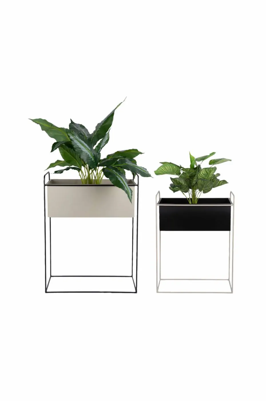 Present Time Plantepottesett Reina