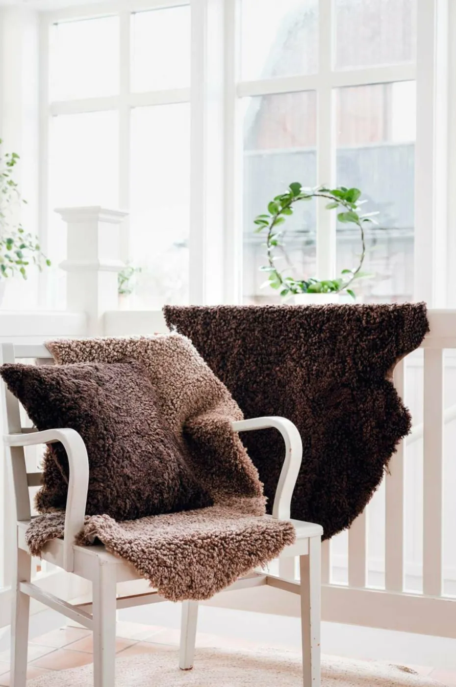Skinnwille Saueskinn Curly