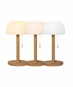 Star Trading Bordlampe Tara Usb