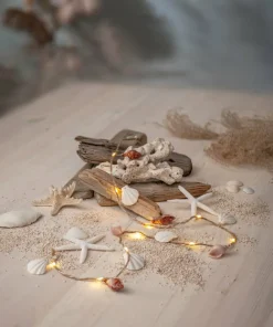 Star Trading String Light Seaside Shells