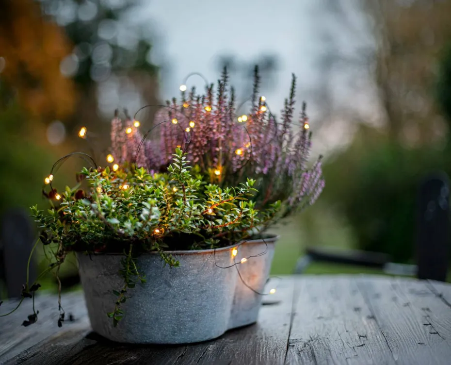Star Trading Utendørs String Light Dew Drop