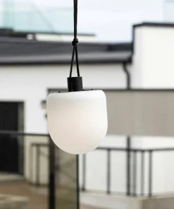 Venture Home Pendellampe Colie