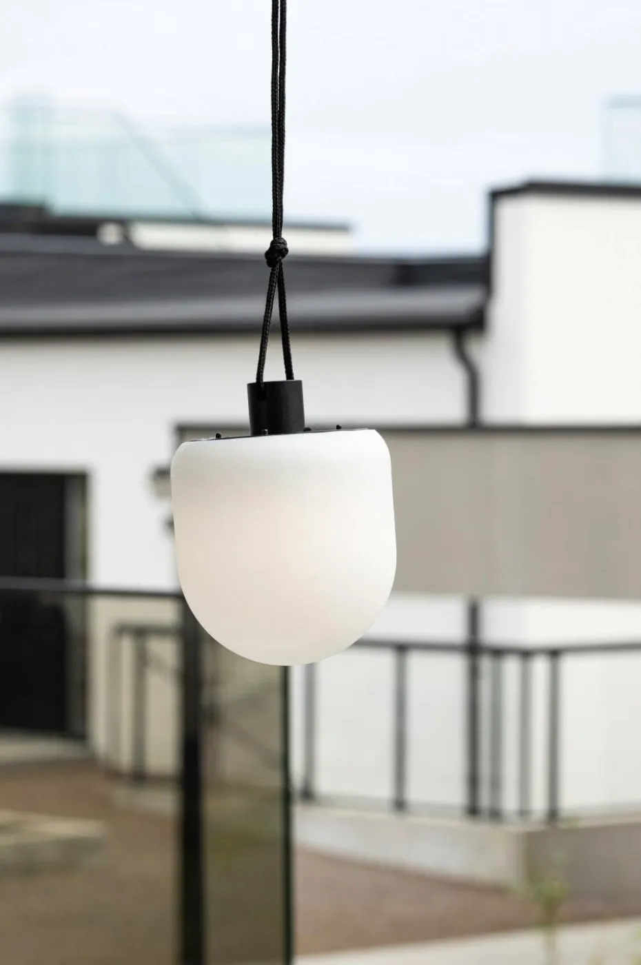 Venture Home Pendellampe Colie