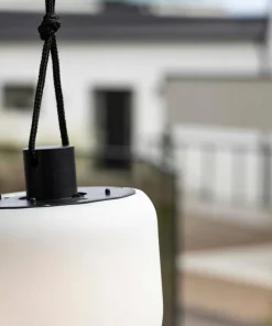 Venture Home Pendellampe Colie