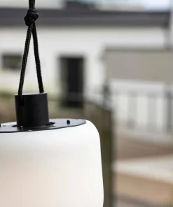 Venture Home Pendellampe Colie