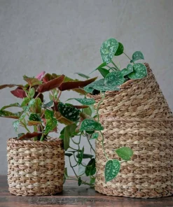 Wikholm Form Belle Stripe wavy Basket 3-pakning