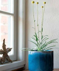 Wikholm Form Galia Gryte 2-pakning