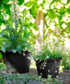 Wikholm Form Majvor Planter