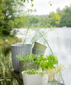Wikholm Form Yodit Plant Oval 2pcs sett